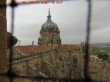 Catedral Nueva. Cubiertas