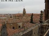 Escuelas Mayores. Capilla. Desde la Catedral