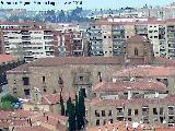 Colegio del Arzobispo Fonseca. Desde la Clereca