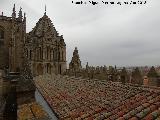 Catedral Vieja. Pasarela hacia la Torre del Gallo. 