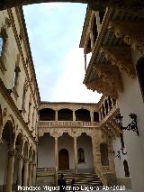 Palacio de la Salina o Fonseca. Patio