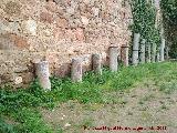 Castillo de la Coracera. Fustes