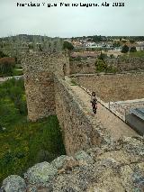 Castillo de la Coracera. Muralla. 