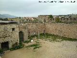 Castillo de la Coracera. Columna del Patio. 