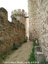 Castillo de la Coracera. Torre Albarrana. 