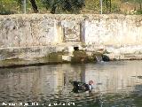 Estanque de Pedro Malena. Entrada de aguas