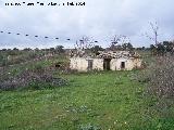 Cetrina Viejo. Cortijo junto a su horno