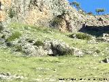 Cueva Alta de la Paraisa. 