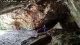 Cueva Alta de la Paraisa. Interior