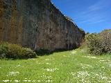 Pea de los Gitanos. Pared