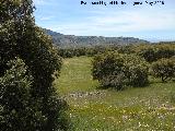 Dolmen del Zoomorfo. Vistas del Prado de la Espiral desde el dolmen