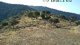 Cerro Chozas del Centenillo
