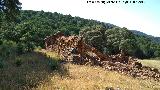 Cortijo de los Camarenes