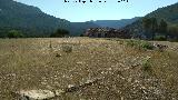 Cortijos del Puntal. 