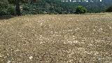 Era del Puntal. Empedrado