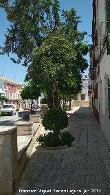 Parque del Jardinillo
