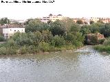 Molinos rabes. Molino de San Antonio y Tllez