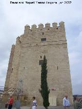 Torre de la Calahorra. Lateral