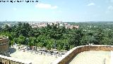 Palacio Real. Campo del Moro. Desde el Palacio Real