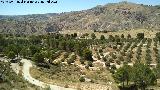 Mirador de Alicn de las Torres. Vistas