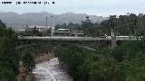 Puente de Altamira. 