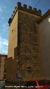 Palacio Fortaleza del Marqus de Dos Aguas. Torre trasera