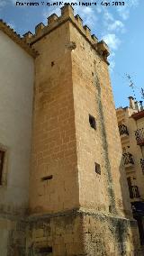 Palacio Fortaleza del Marqus de Dos Aguas. Torre trasera