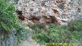 Barranco de la Cueva de las Flores. Abrigos del barranco