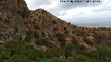 Barranco de la Cueva de las Flores. Cueva de las Flores