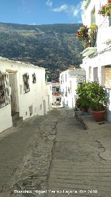 Calle Cerezo. 