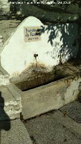 Fuente de Ramn Torres. 