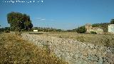 Cortijo de Lucas Guilln. Albarrada de piedra