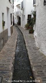 Calle Vernica. 