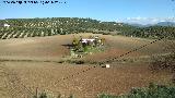 Cortijo de las nimas. 