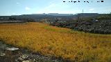 Casera del Arroyo de la Dehesilla. Tierras de cultivo