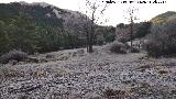 El Rincn
