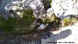 Nacimiento del Arroyo de Valdecuevas