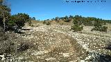 Camino de la Nava del Espino