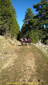 Camino de la Cueva de los Alcaetes