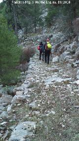 Camino viejo de Valdetrillo. 