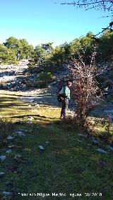 Camino viejo de la Cueva de los Alcaetes. 