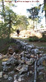 Camino viejo de la Cueva de los Alcaetes. 