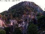 Navahondona