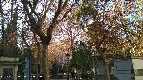 Plaza Trinidad. 