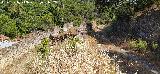 Estaci�n del Cable. Salida del cable