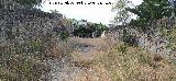 Estaci�n del Cable. 