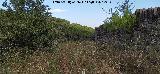 Estaci�n del Cable. Salida del cable