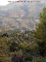 Cortijo Viejo del Charquillo. 