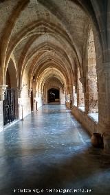 Monasterio de Piedra. Claustro. Galera