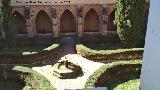 Monasterio de Piedra. Claustro. 